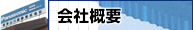 ЊTv
